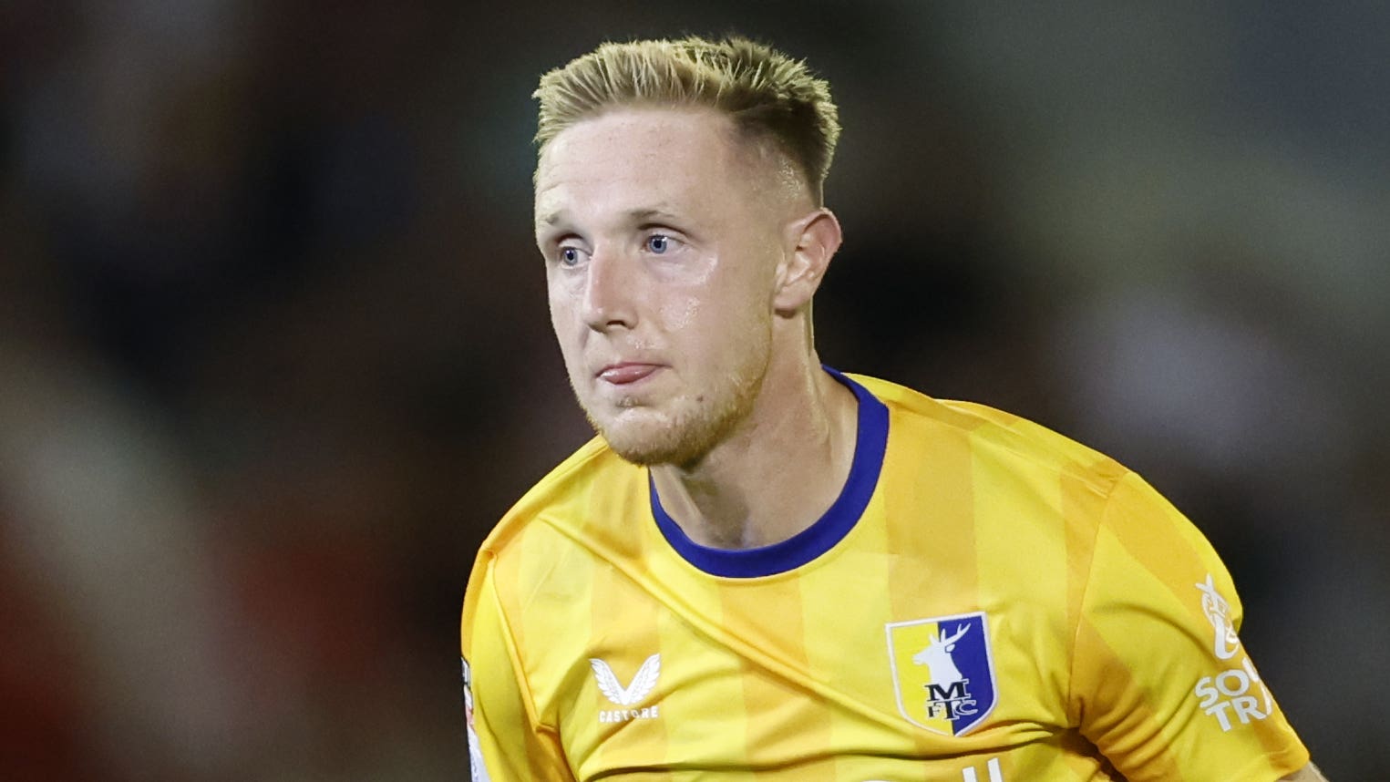 瓦迪奥尔补 瓦迪奥尔补